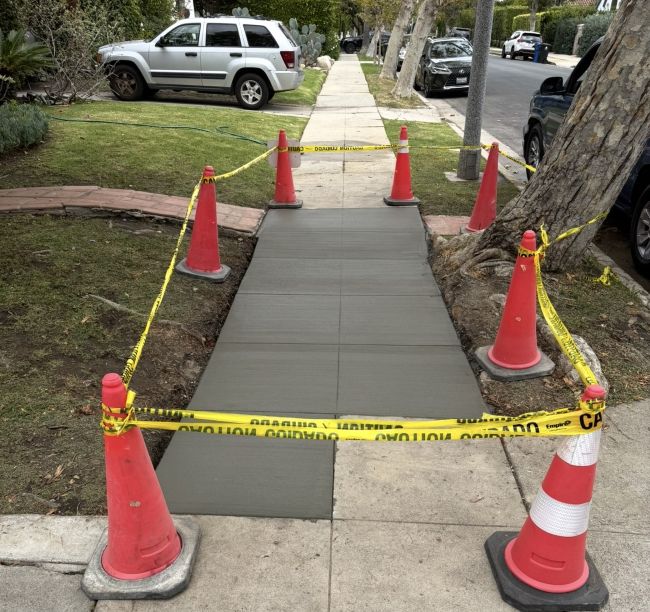 code violation sidewalk trees los angeles